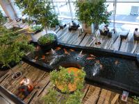 Koi Pond Changi Airport Singapur