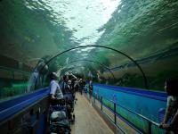 Sydney Sealife