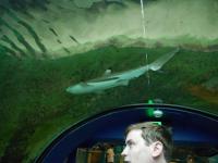 Sydney Sealife
