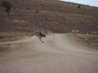 Flinders Ranges