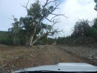Flinders Ranges