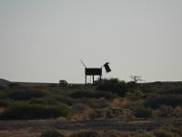 Oodnadatta Track - Skulpturenpark