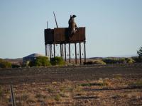 Oodnadatta Track - Skulpturenpark