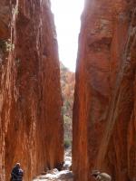 MacDonnell Ranges - Standley Chasm (Bergschlucht)