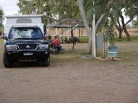 Wycliffe Well Camp Ground - Emu - UFO Capital of Australia