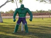 Wycliffe Well Camp Ground - Hulk - UFO Capital of Australia