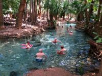 Mataranka - Thermal Pool mit angenehmen 30&deg;C
