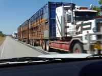 Road Train