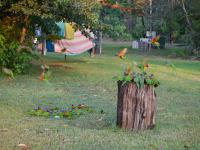 Batchelor Campground - F&uuml;tterung der Rainbow Lorikeets