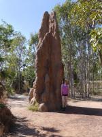 Litchfield National Park - Magnetic Termite Mounds - Cathedral Termite Mound