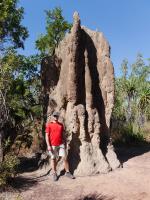 Litchfield National Park - Magnetic Termite Mounds - Cathedral Termite Mound