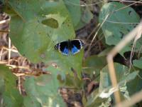 Litchfield National Park