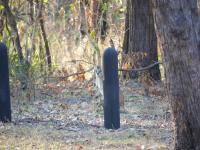 Litchfield National Park - Wangi Falls Campground - K&auml;nguru