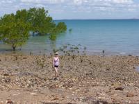 Darwin - Doctors Gully - Fischf&uuml;tterung