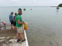 Darwin - Doctors Gully - Fischf&uuml;tterung