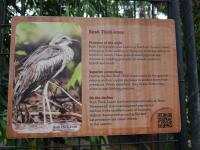 Bild "Austr2018_02290.JPG"