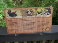 Bild "Austr2018_03150.JPG"