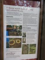 Bild "Austr2018_04040.JPG"