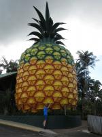 Big Pineapple Nambour