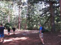 Bild "Austr2018_04840.JPG"