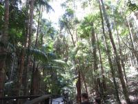 Bild "Austr2018_04940.JPG"