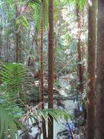 Bild "Austr2018_05000.JPG"