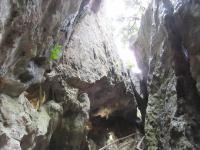 Bild "Austr2018_05400.JPG"