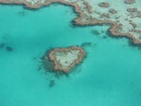 Bild "Austr2018_06225.JPG"