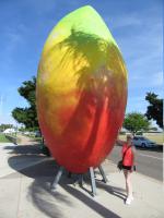 Not so Big Mango in Bowen