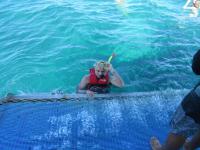 Bild "Austr2018_07690.JPG"
