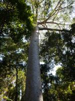 Bild "Austr2018_07950.JPG"
