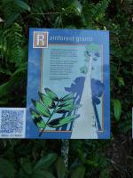Bild "Austr2018_07960.JPG"