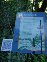 Bild "Austr2018_07990.JPG"