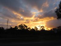 Auf dem Weg nach Mareeba