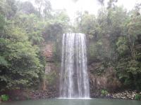 Millaa Millaa Falls