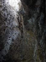 Bild "Austr2018_10570.JPG"
