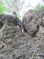 Bild "IMG_0297.JPG"