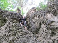 Bild "IMG_0299.JPG"