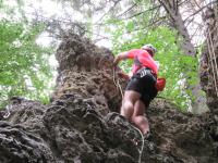 Bild "IMG_0440.JPG"