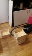 Bild "IMG_1784c.JPG"