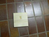 Bild "P1090580.JPG"